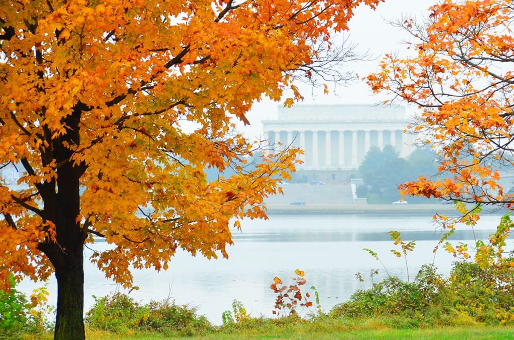 Lincoln Memorial in the Fall